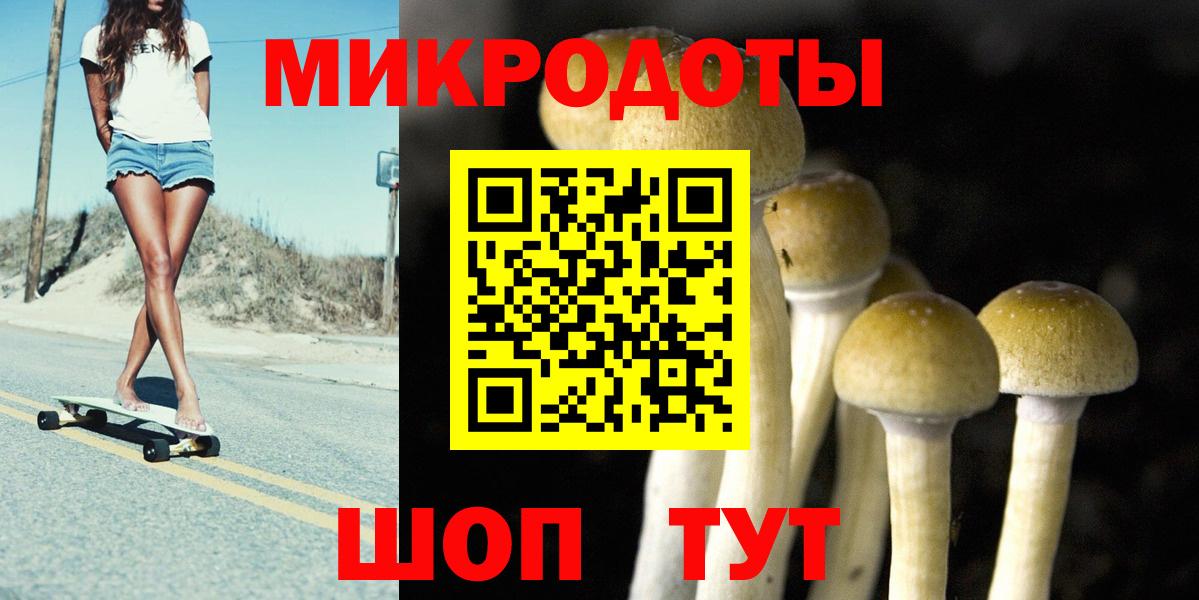 закладка  Псилоцибиновые грибы Psilocybine cubensis  Вход с VPN  Южноуральск  Псилоцибиновые грибы Psilocybine cubensis 