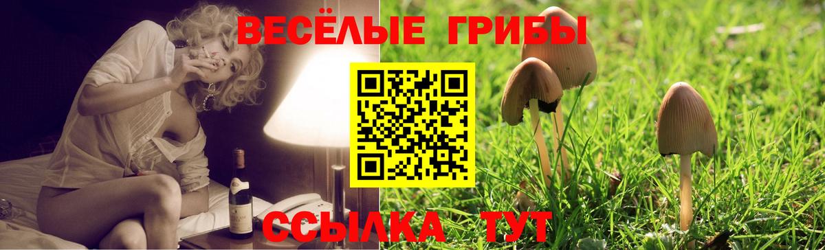 Галлюциногенные грибы мицелий Южноуральск